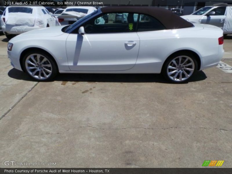 Ibis White / Chestnut Brown 2014 Audi A5 2.0T Cabriolet