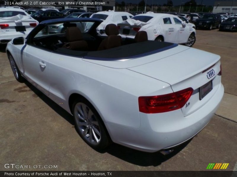 Ibis White / Chestnut Brown 2014 Audi A5 2.0T Cabriolet