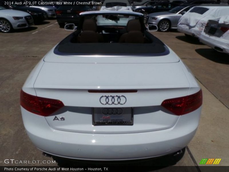 Ibis White / Chestnut Brown 2014 Audi A5 2.0T Cabriolet