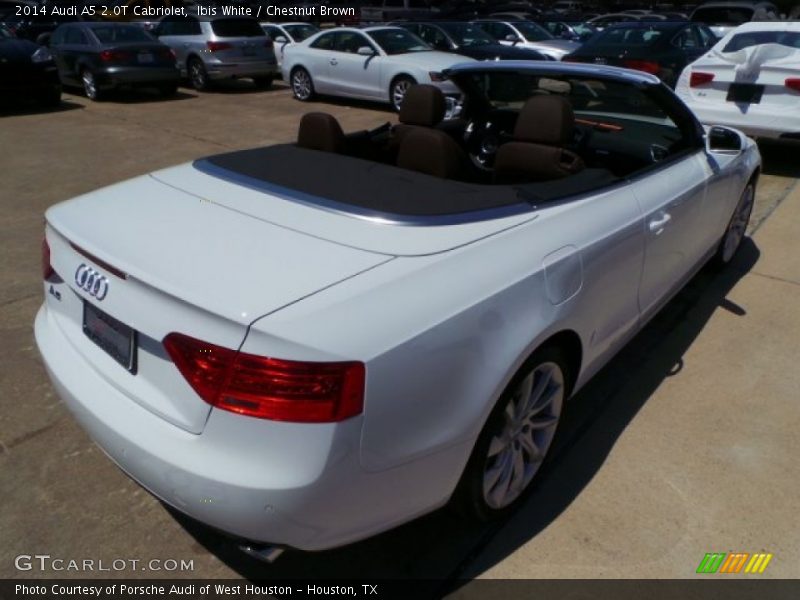 Ibis White / Chestnut Brown 2014 Audi A5 2.0T Cabriolet