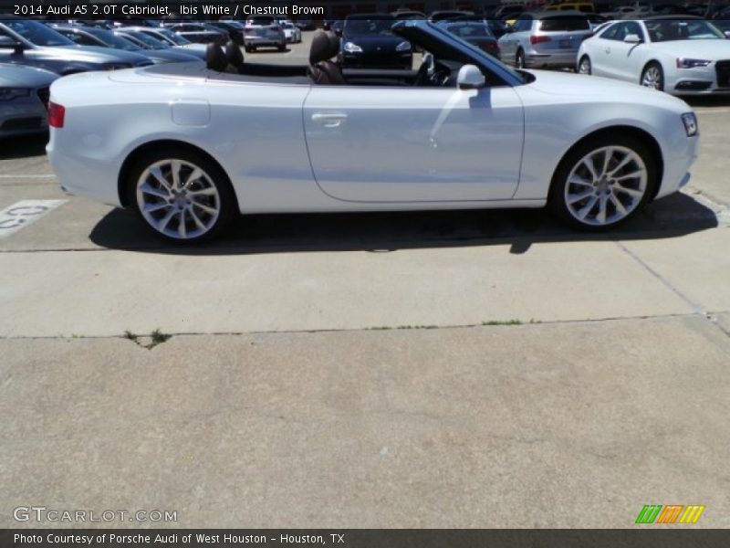 Ibis White / Chestnut Brown 2014 Audi A5 2.0T Cabriolet