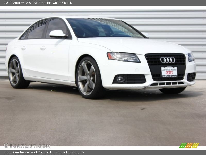 Ibis White / Black 2011 Audi A4 2.0T Sedan