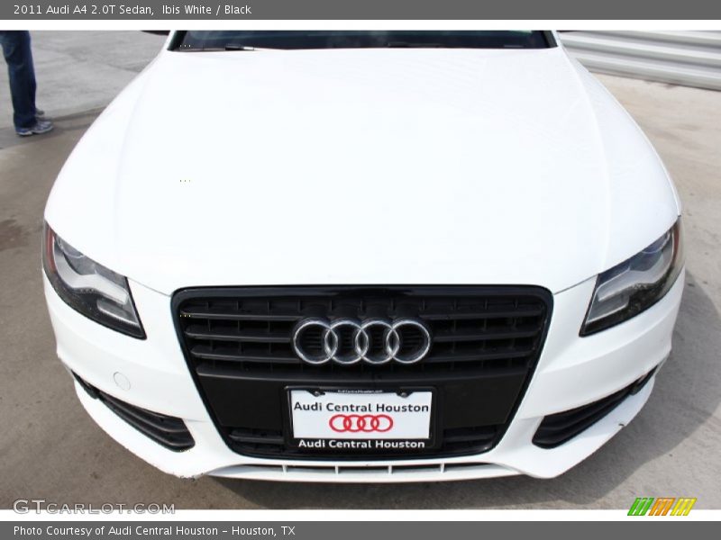 Ibis White / Black 2011 Audi A4 2.0T Sedan