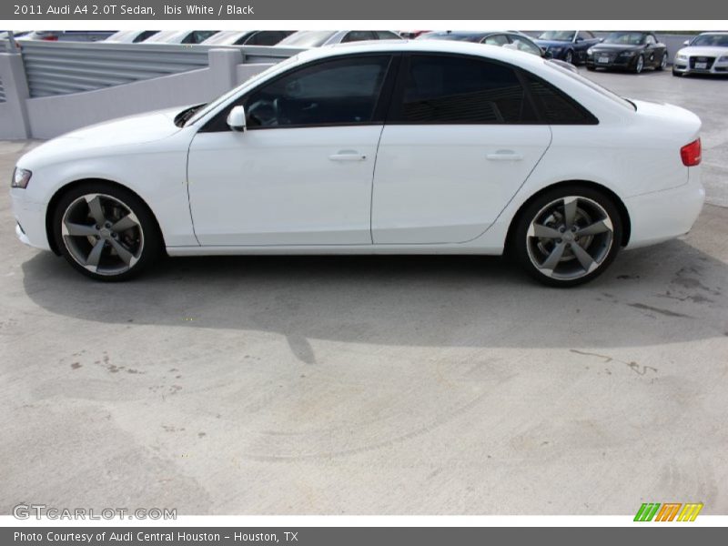 Ibis White / Black 2011 Audi A4 2.0T Sedan