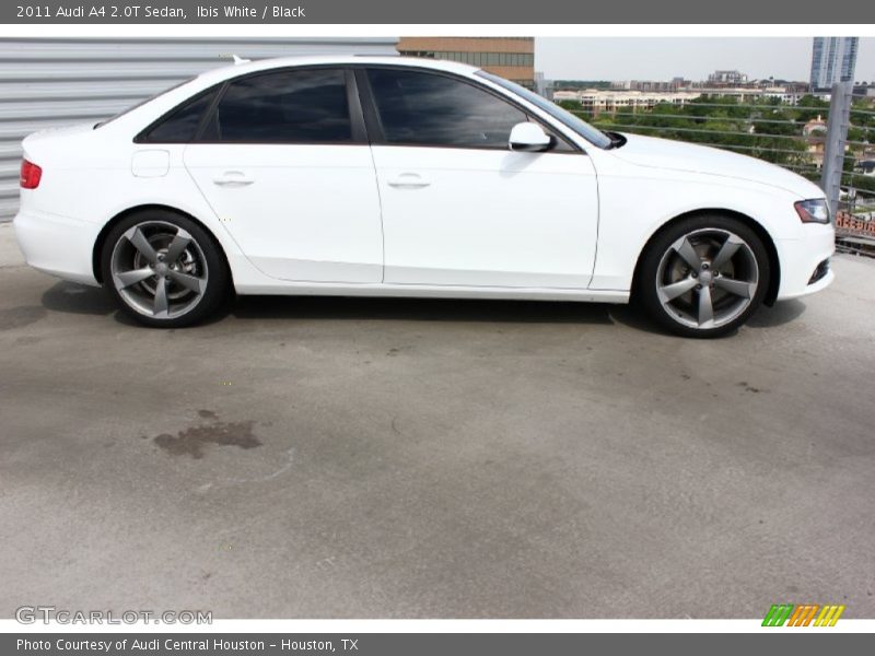 Ibis White / Black 2011 Audi A4 2.0T Sedan