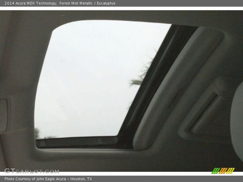 Forest Mist Metallic / Eucalyptus 2014 Acura MDX Technology