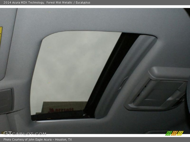 Forest Mist Metallic / Eucalyptus 2014 Acura MDX Technology