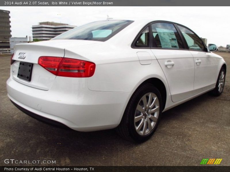 Ibis White / Velvet Beige/Moor Brown 2014 Audi A4 2.0T Sedan
