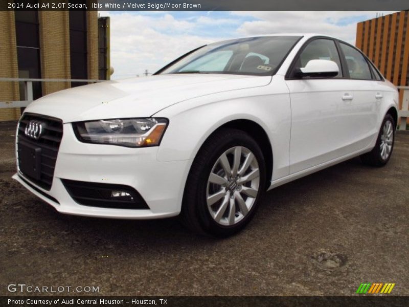 Ibis White / Velvet Beige/Moor Brown 2014 Audi A4 2.0T Sedan