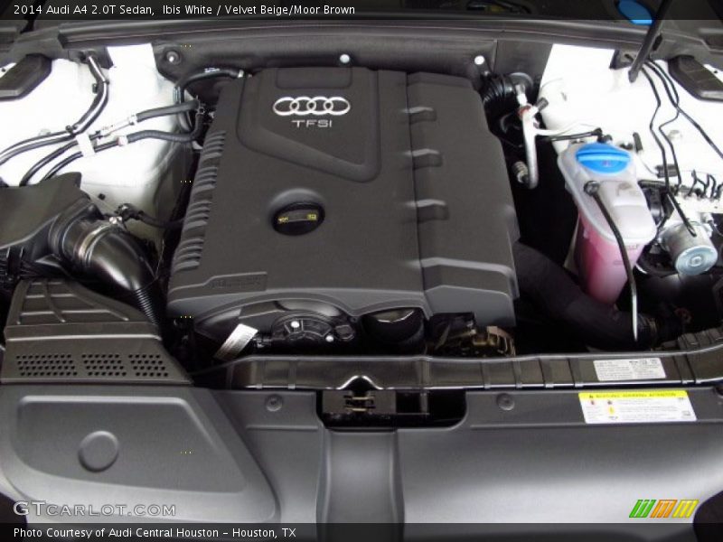 Ibis White / Velvet Beige/Moor Brown 2014 Audi A4 2.0T Sedan