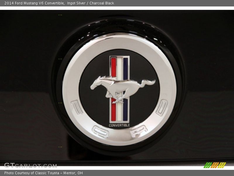 Ingot Silver / Charcoal Black 2014 Ford Mustang V6 Convertible