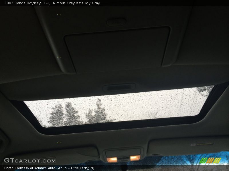 Nimbus Gray Metallic / Gray 2007 Honda Odyssey EX-L