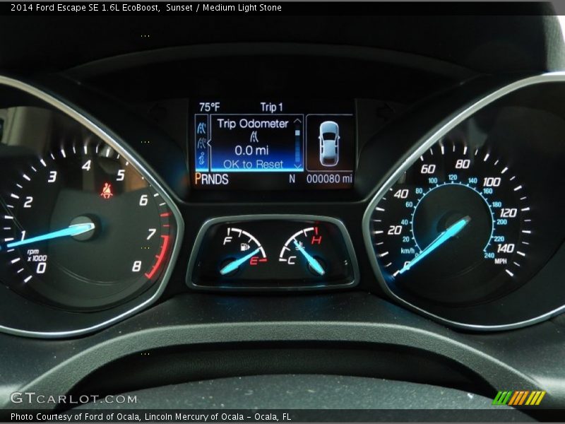 Sunset / Medium Light Stone 2014 Ford Escape SE 1.6L EcoBoost