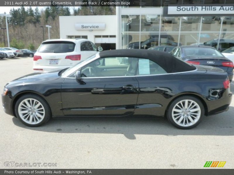 Brilliant Black / Cardamom Beige 2011 Audi A5 2.0T quattro Convertible