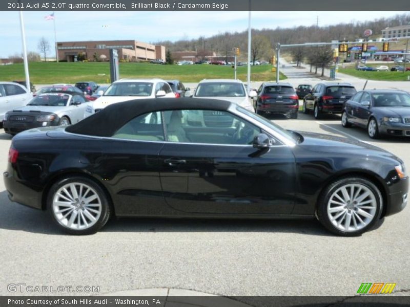 Brilliant Black / Cardamom Beige 2011 Audi A5 2.0T quattro Convertible