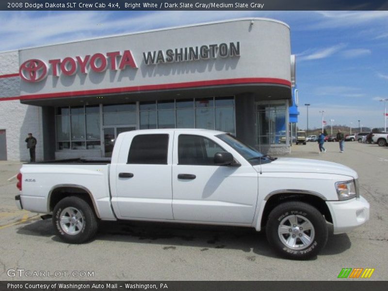 Bright White / Dark Slate Gray/Medium Slate Gray 2008 Dodge Dakota SLT Crew Cab 4x4