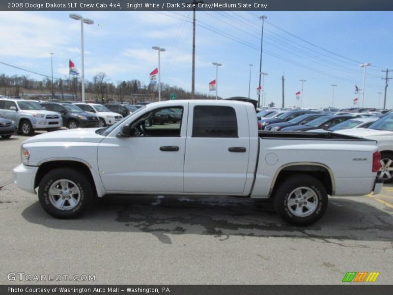 Bright White / Dark Slate Gray/Medium Slate Gray 2008 Dodge Dakota SLT Crew Cab 4x4