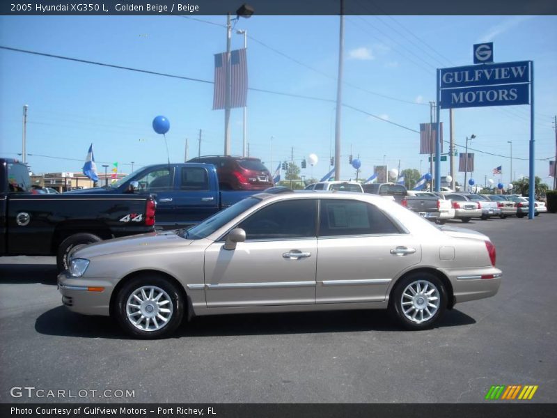 Golden Beige / Beige 2005 Hyundai XG350 L
