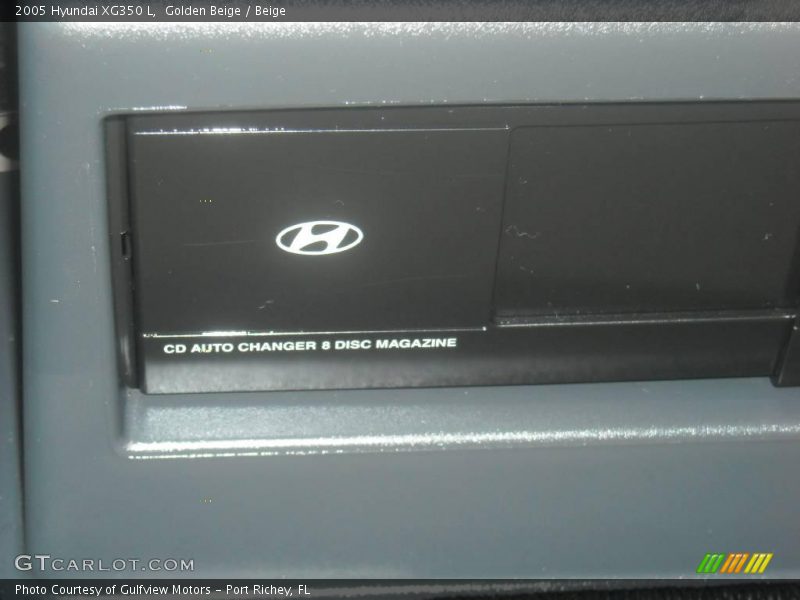 Golden Beige / Beige 2005 Hyundai XG350 L