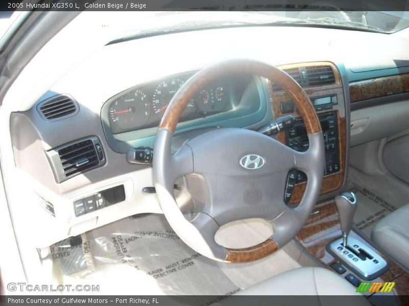 Golden Beige / Beige 2005 Hyundai XG350 L