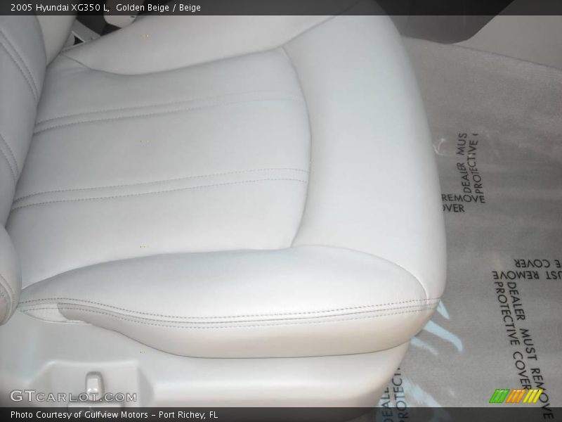Golden Beige / Beige 2005 Hyundai XG350 L