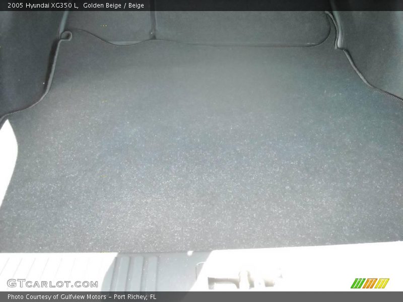 Golden Beige / Beige 2005 Hyundai XG350 L