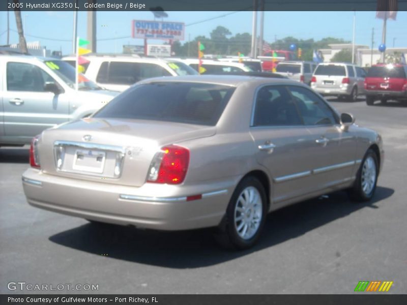 Golden Beige / Beige 2005 Hyundai XG350 L