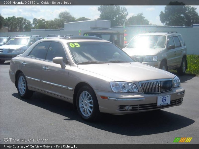 Golden Beige / Beige 2005 Hyundai XG350 L