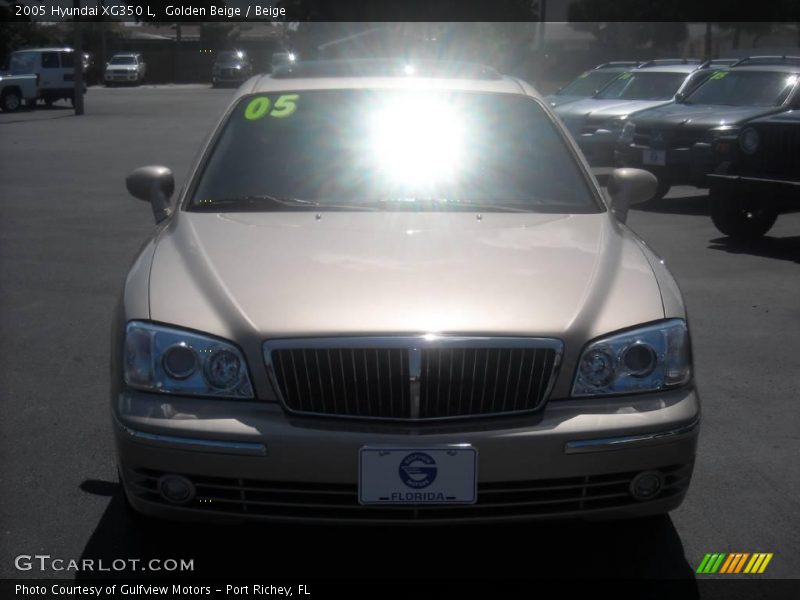 Golden Beige / Beige 2005 Hyundai XG350 L