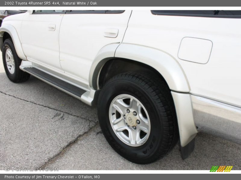 Natural White / Oak 2002 Toyota 4Runner SR5 4x4