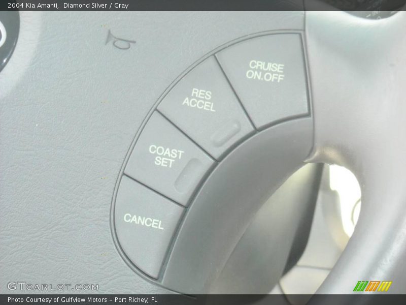 Diamond Silver / Gray 2004 Kia Amanti