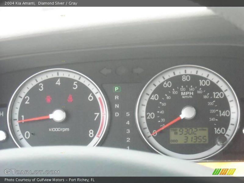 Diamond Silver / Gray 2004 Kia Amanti