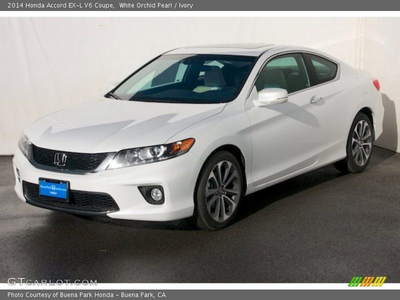 White Orchid Pearl / Ivory 2014 Honda Accord EX-L V6 Coupe