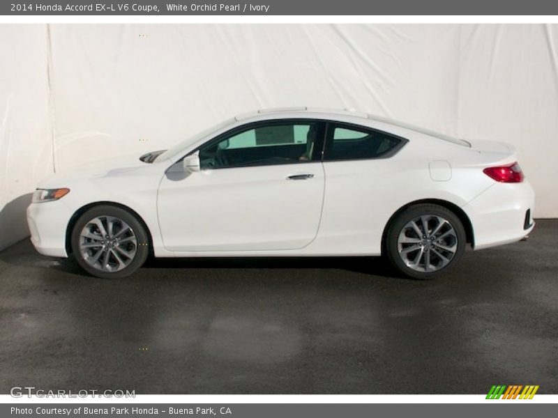 White Orchid Pearl / Ivory 2014 Honda Accord EX-L V6 Coupe