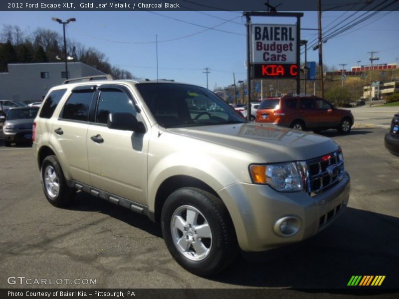 Gold Leaf Metallic / Charcoal Black 2012 Ford Escape XLT