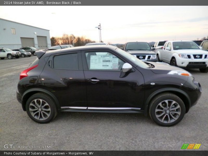 Bordeaux Black / Black 2014 Nissan Juke SV AWD