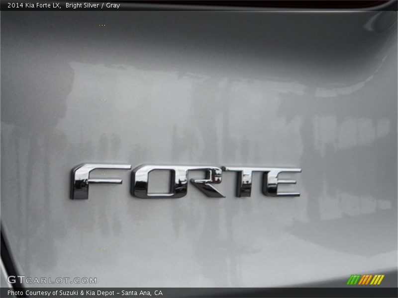 Bright Silver / Gray 2014 Kia Forte LX