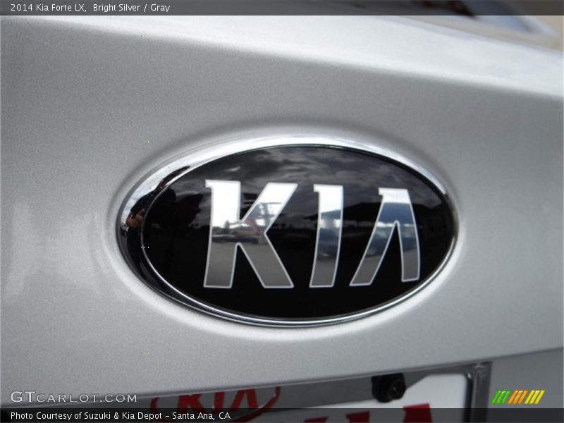 Bright Silver / Gray 2014 Kia Forte LX