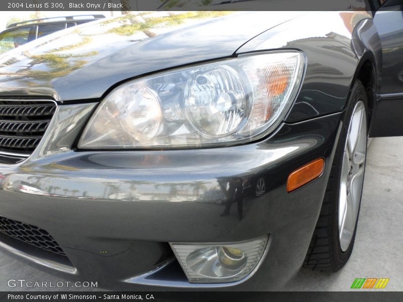 Black Onyx / Black 2004 Lexus IS 300