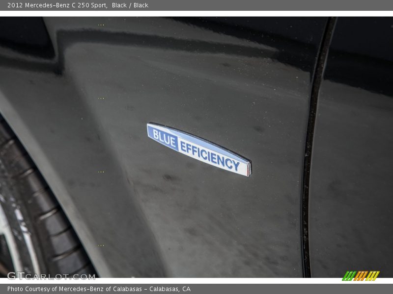 Black / Black 2012 Mercedes-Benz C 250 Sport