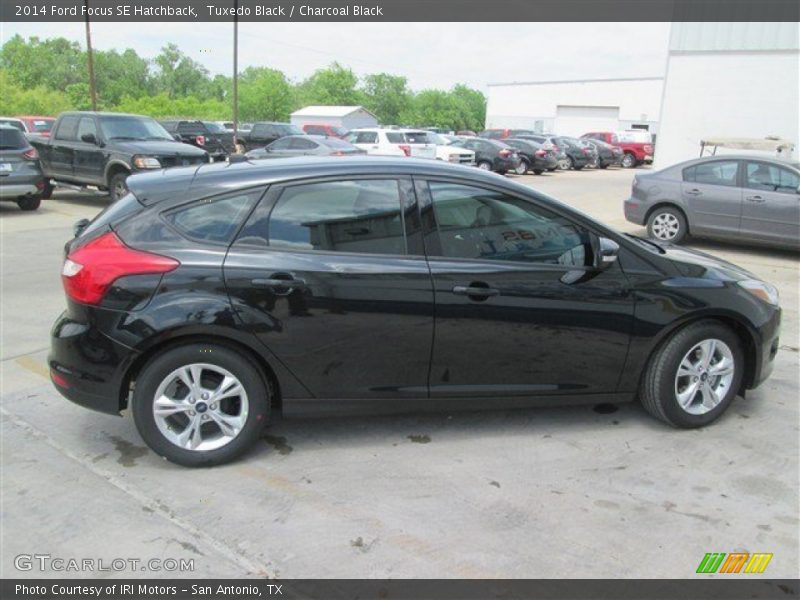 Tuxedo Black / Charcoal Black 2014 Ford Focus SE Hatchback