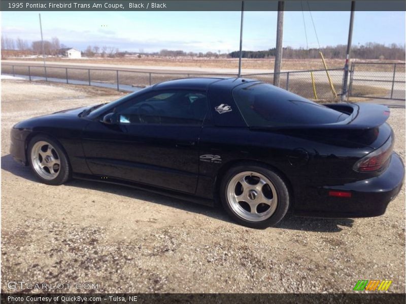 Black / Black 1995 Pontiac Firebird Trans Am Coupe