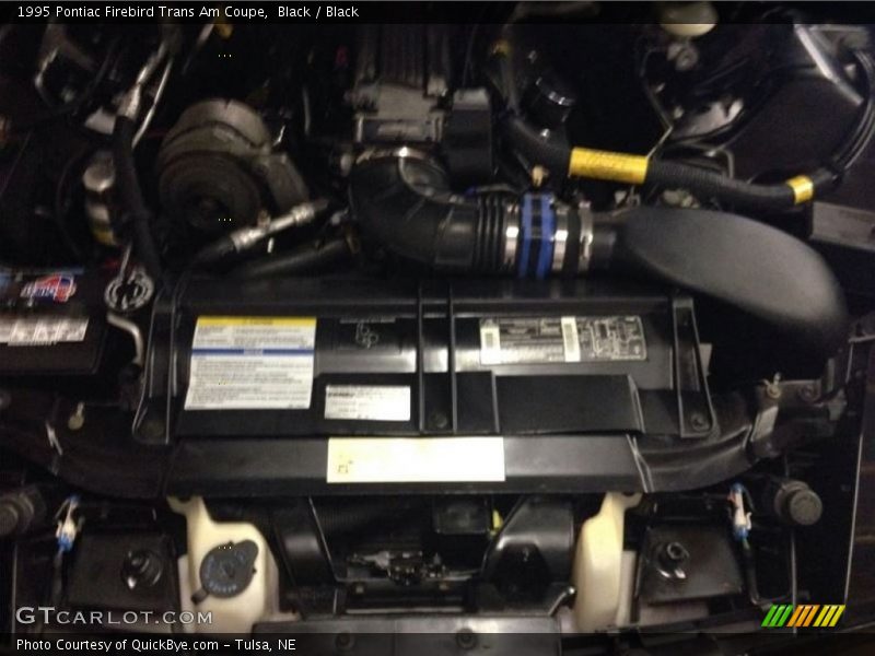 Black / Black 1995 Pontiac Firebird Trans Am Coupe