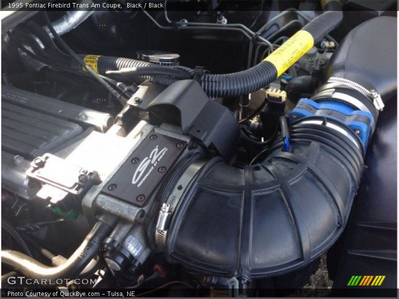 Black / Black 1995 Pontiac Firebird Trans Am Coupe