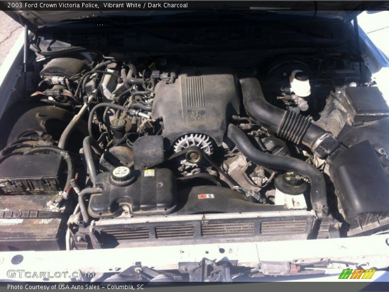 Vibrant White / Dark Charcoal 2003 Ford Crown Victoria Police