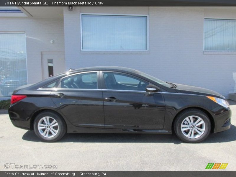 Phantom Black Metallic / Gray 2014 Hyundai Sonata GLS