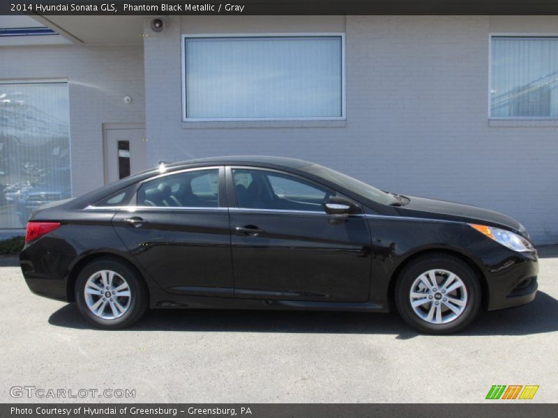 Phantom Black Metallic / Gray 2014 Hyundai Sonata GLS