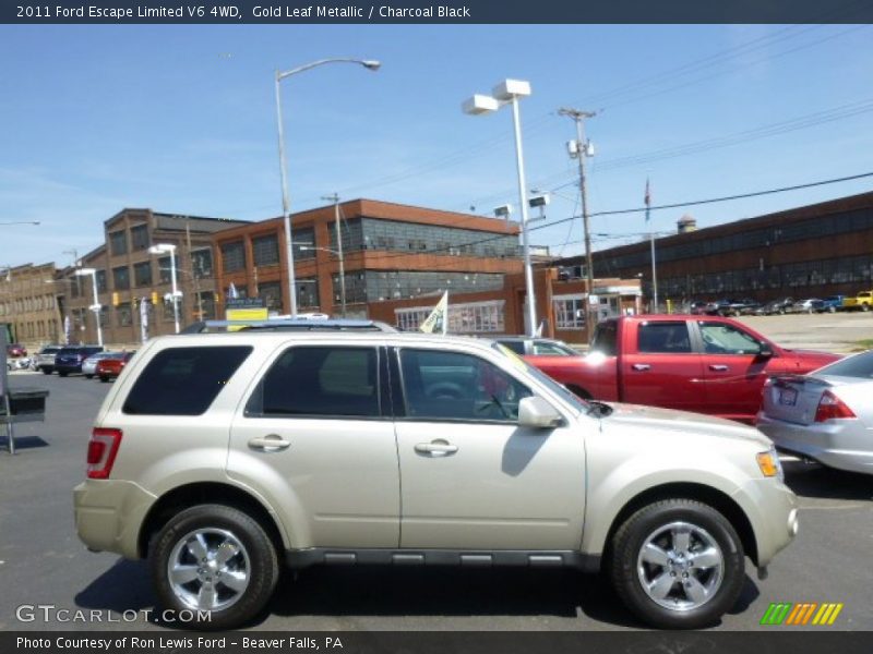 Gold Leaf Metallic / Charcoal Black 2011 Ford Escape Limited V6 4WD