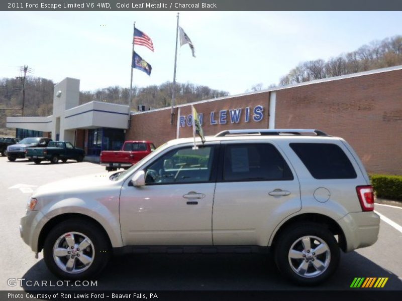 Gold Leaf Metallic / Charcoal Black 2011 Ford Escape Limited V6 4WD