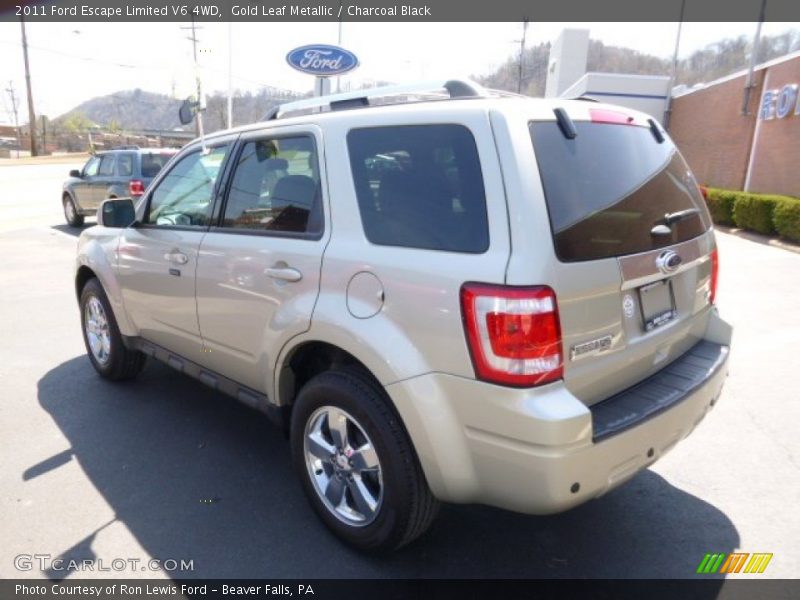 Gold Leaf Metallic / Charcoal Black 2011 Ford Escape Limited V6 4WD